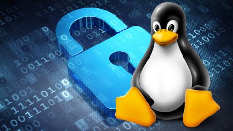 Top 15 vulnerabilidades que los atacantes aprovecharon millones de veces para hackear sistemas Linux